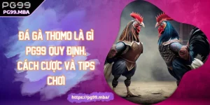 Đá Gà Thomo Là Gì PG99? Quy Định, Cách Cược Và Tips Chơi