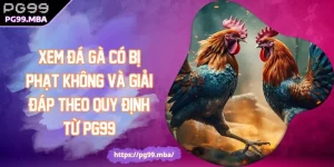 Xem Đá Gà Có Bị Phạt Không Và Giải Đáp Theo Quy Định Từ PG99